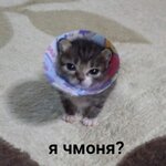 Лита