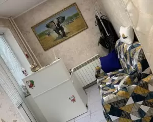 Фотография Белый Слон 1